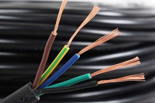 WDZBN-BYJ電線詳解 特性、應(yīng)用與行業(yè)認(rèn)知